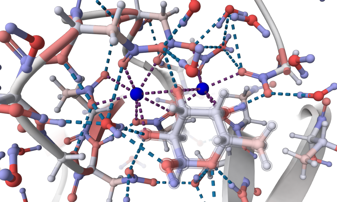 P-glycoprotein